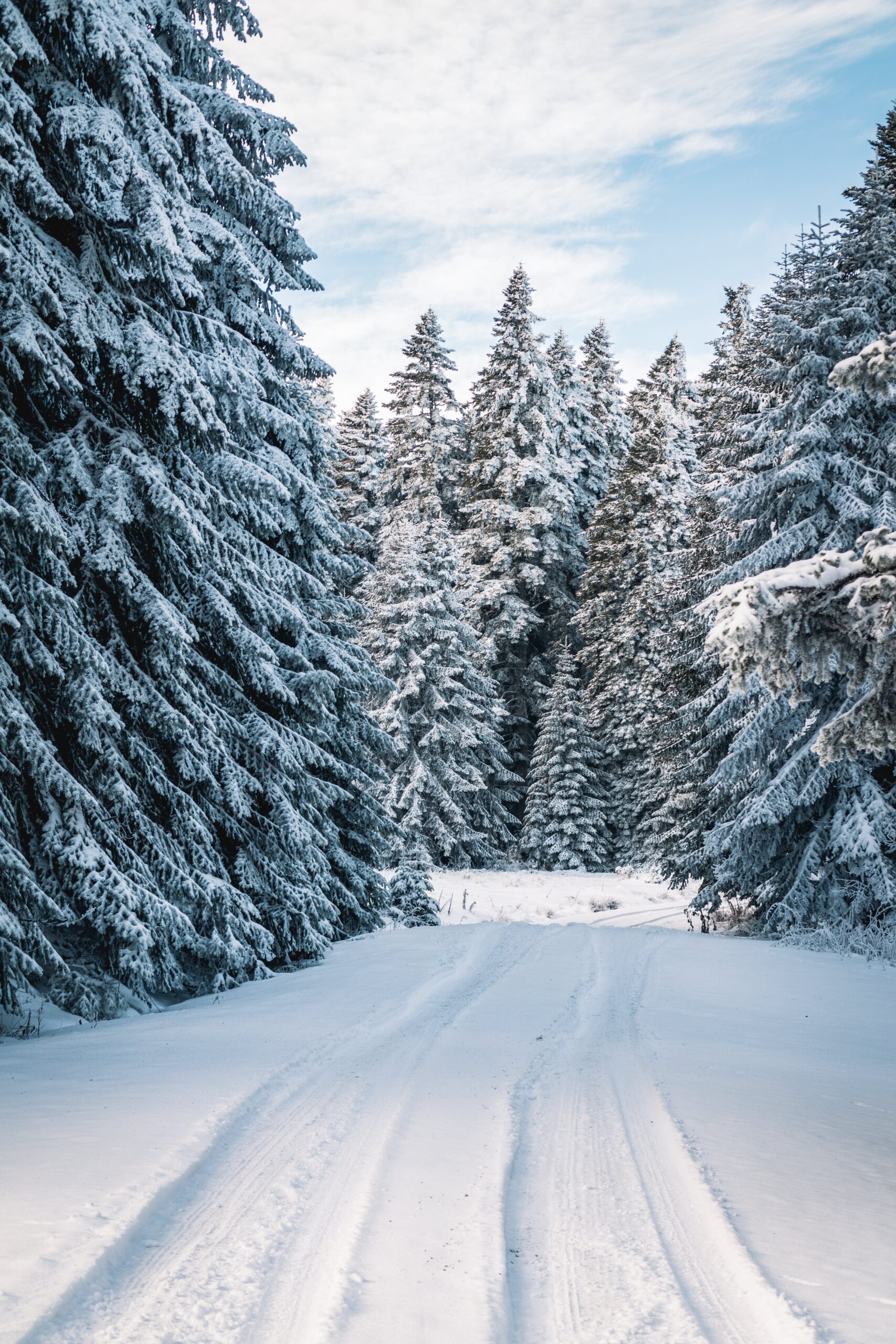 Bosbaden winter